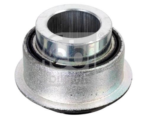 Bushing, leaf spring